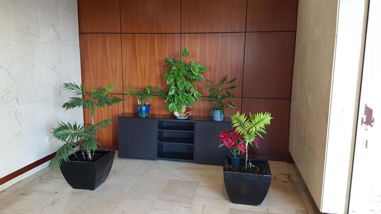 Appartement En *